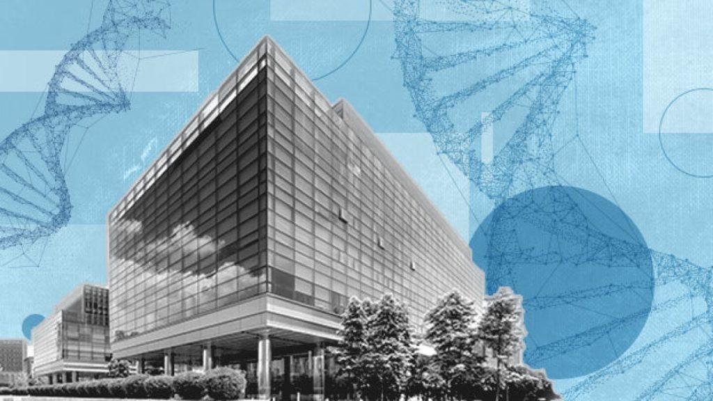 Full Stack Engineer at BioSpace 